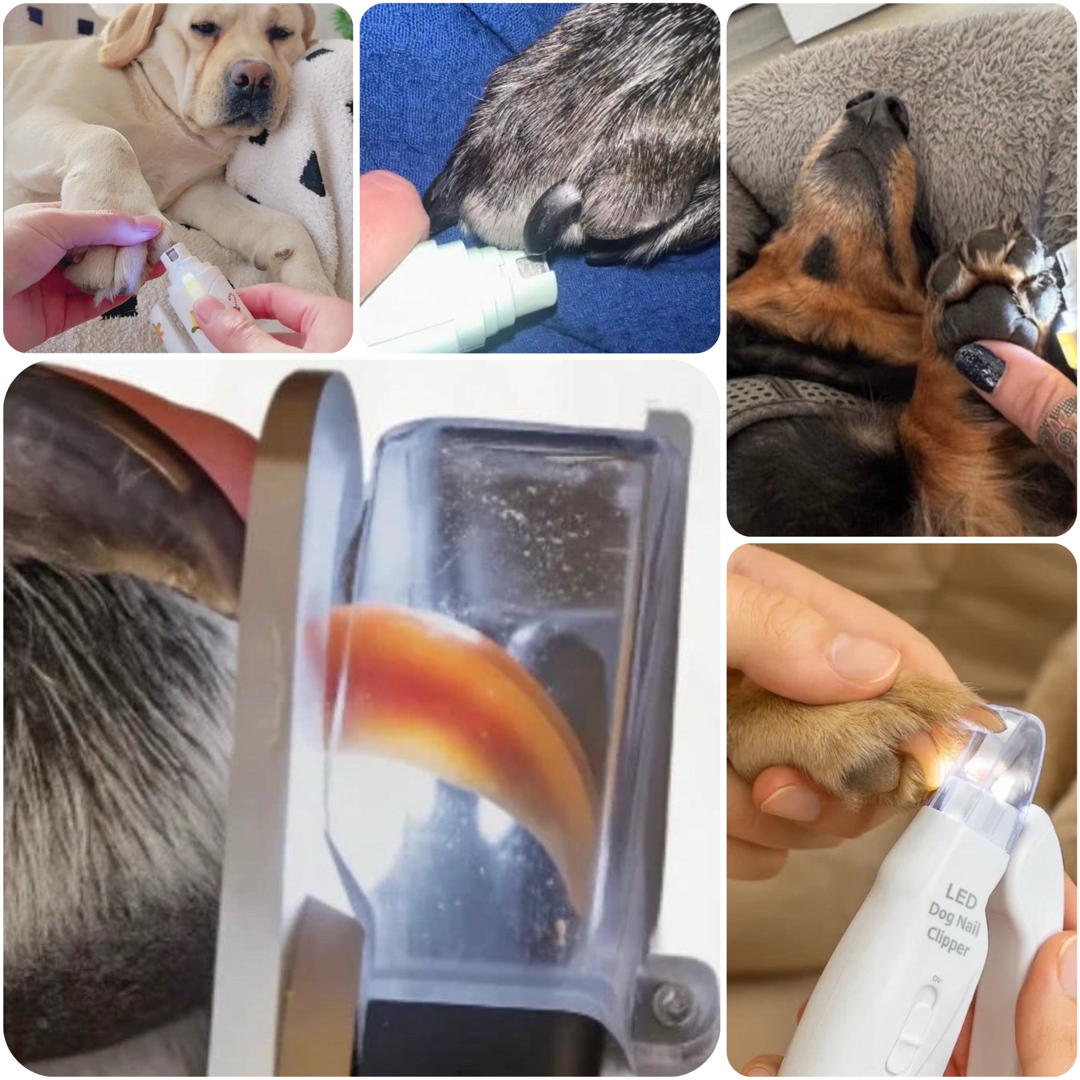 Zyvra Pet Nail Clipper