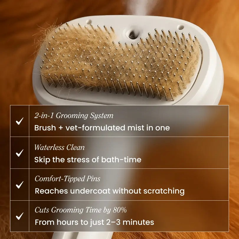Zyvra NoBath Grooming Set